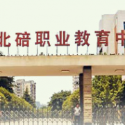 重庆北碚职业教育中心标志