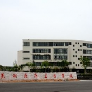 芜湖医药卫生学校标志