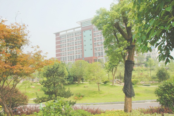 湖南电子科技职业学院招生标志
