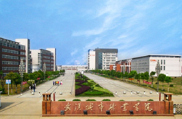武汉城市职业学院招生标志