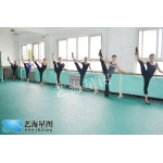 北京艺海星图艺术培训学校标志