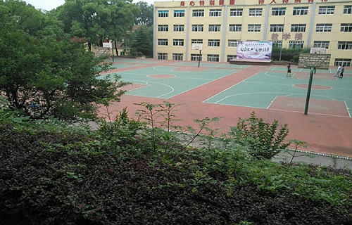 武汉东湖光电学校标志